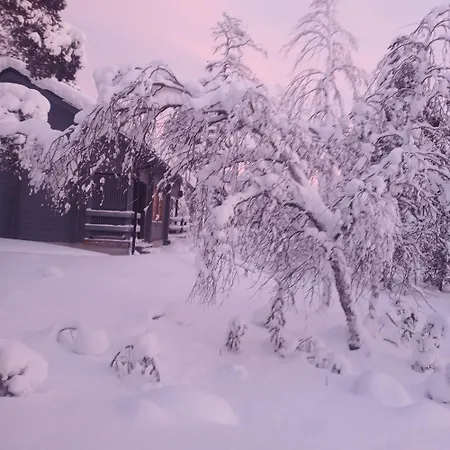 Loma-asunnot Paratiisikuru 2