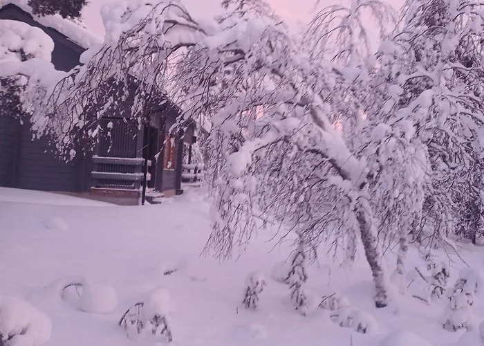 度假居 Paratiisikuru 2